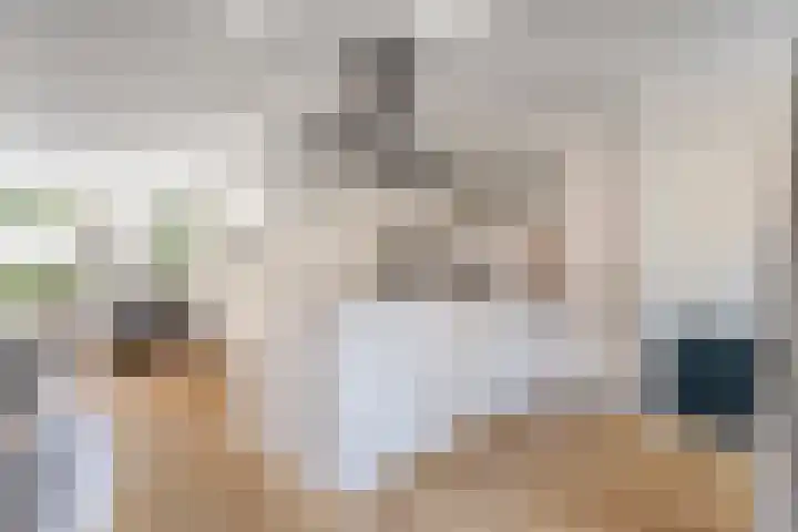 Johan de Wittstraat 15 Zwolle thumbnail 11