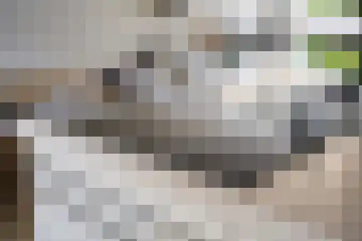 Johan de Wittstraat 15 Zwolle thumbnail 12