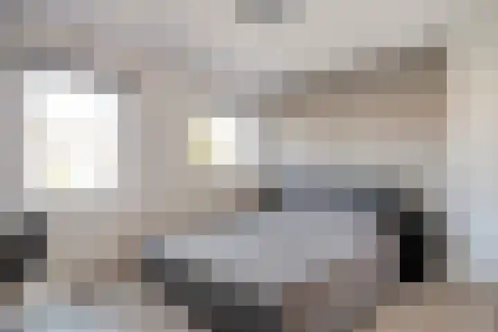 Johan de Wittstraat 15 Zwolle thumbnail 16
