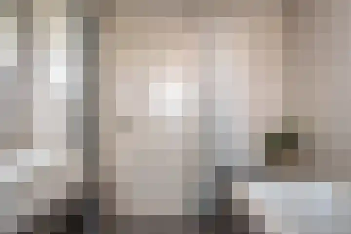 Johan de Wittstraat 15 Zwolle thumbnail 21