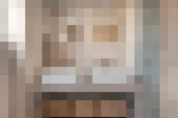 Johan de Wittstraat 15 Zwolle thumbnail 23