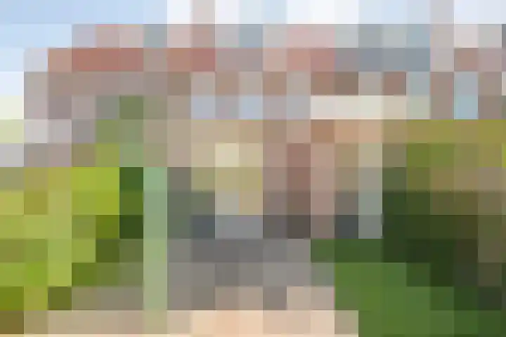 Johan de Wittstraat 15 Zwolle thumbnail 30