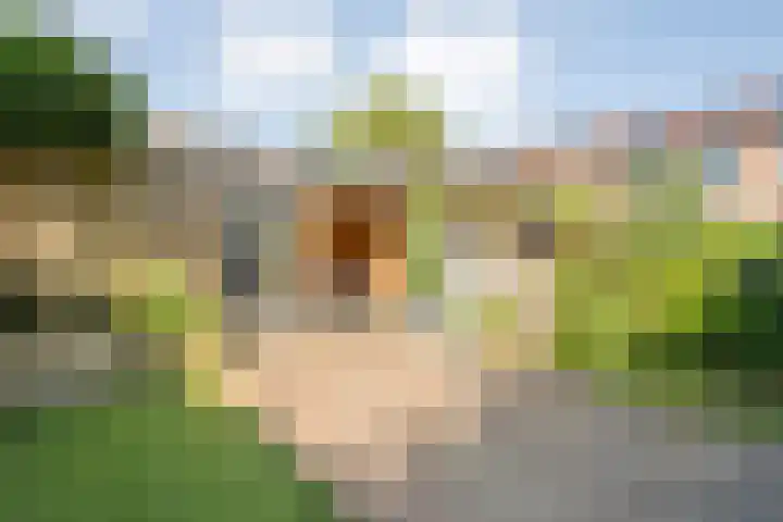 Johan de Wittstraat 15 Zwolle thumbnail 32