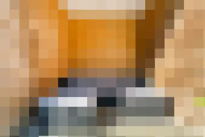 Johan de Wittstraat 15 Zwolle thumbnail 33