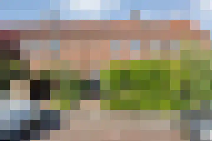 Johan de Wittstraat 15 Zwolle thumbnail 36