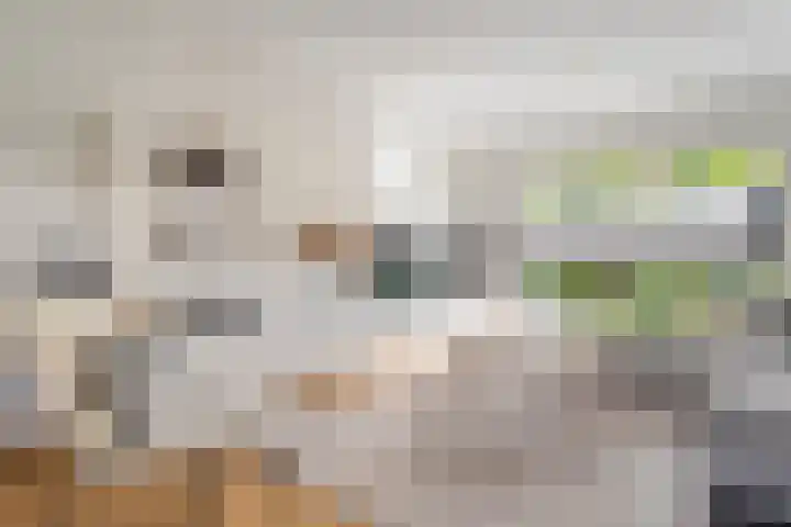 Johan de Wittstraat 15 Zwolle thumbnail 4