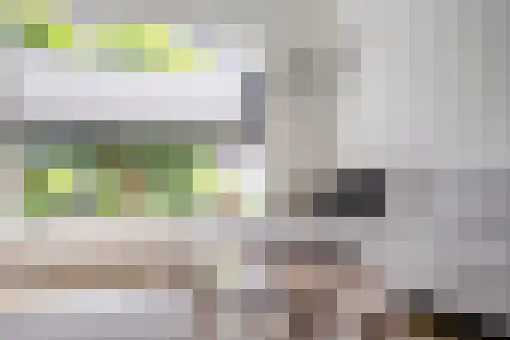 Johan de Wittstraat 15 Zwolle thumbnail 5