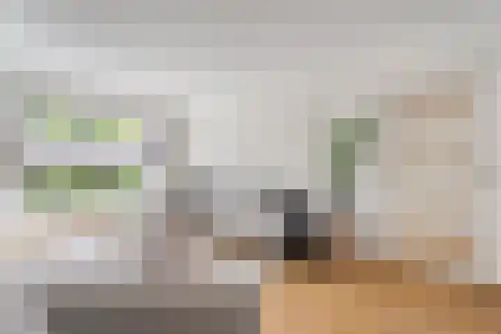 Johan de Wittstraat 15 Zwolle thumbnail 6