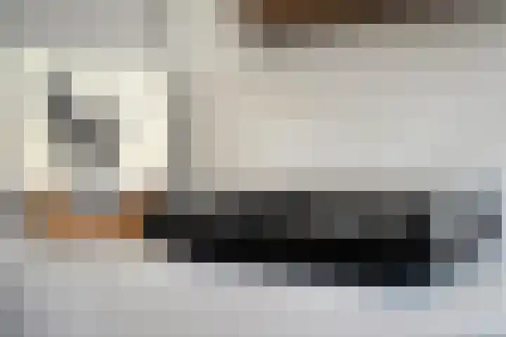 Johan de Wittstraat 15 Zwolle thumbnail 7