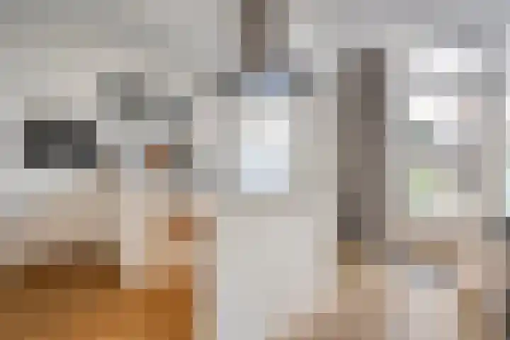 Johan de Wittstraat 15 Zwolle thumbnail 9