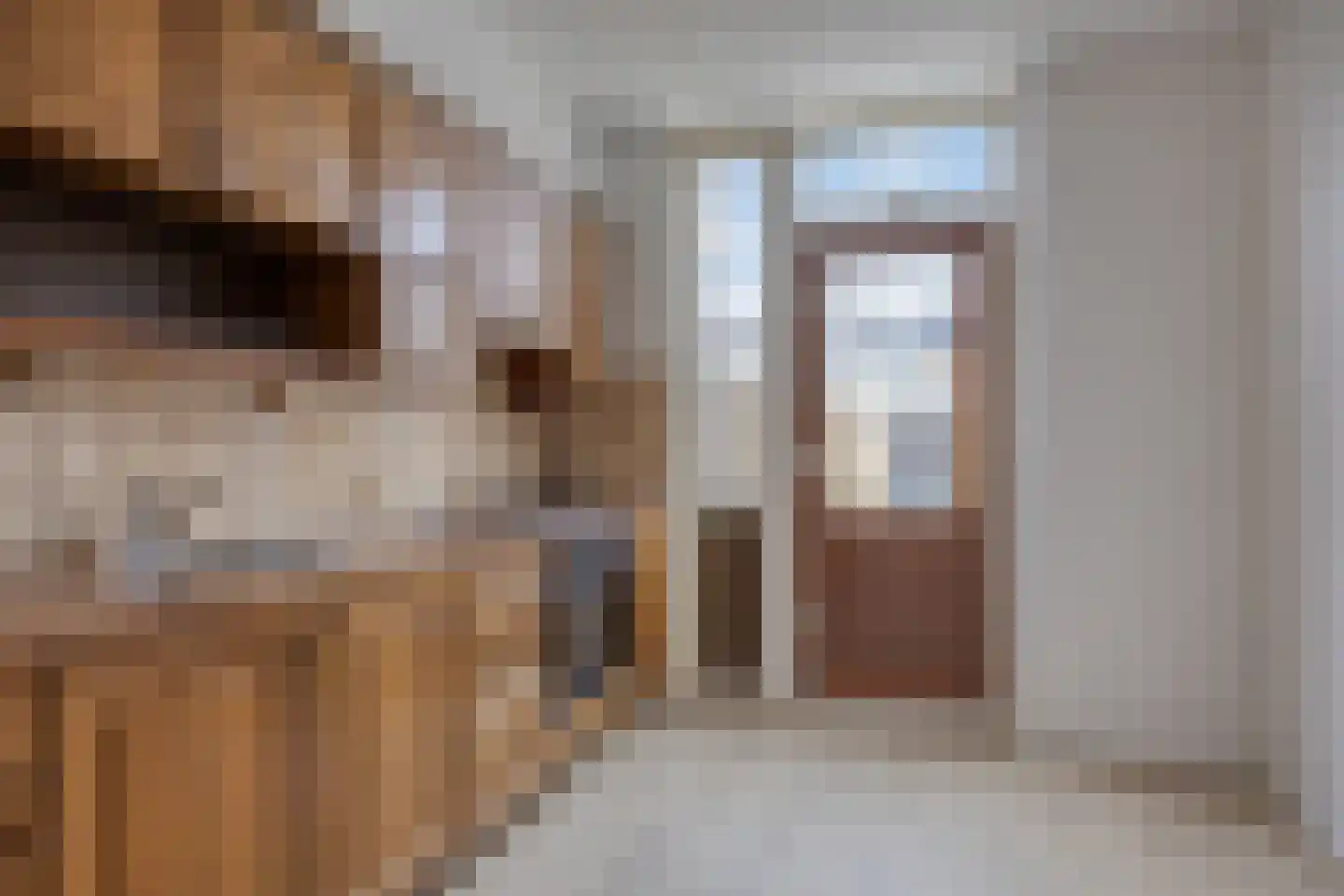 Johan de Wittstraat 16 Alblasserdam thumbnail 7