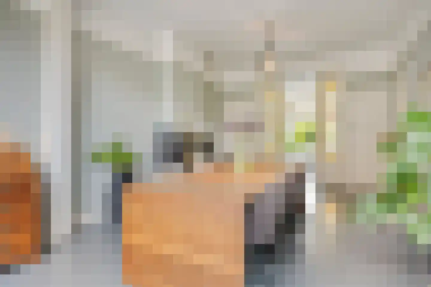 Johan de Wittstraat 16 Leiden thumbnail 11