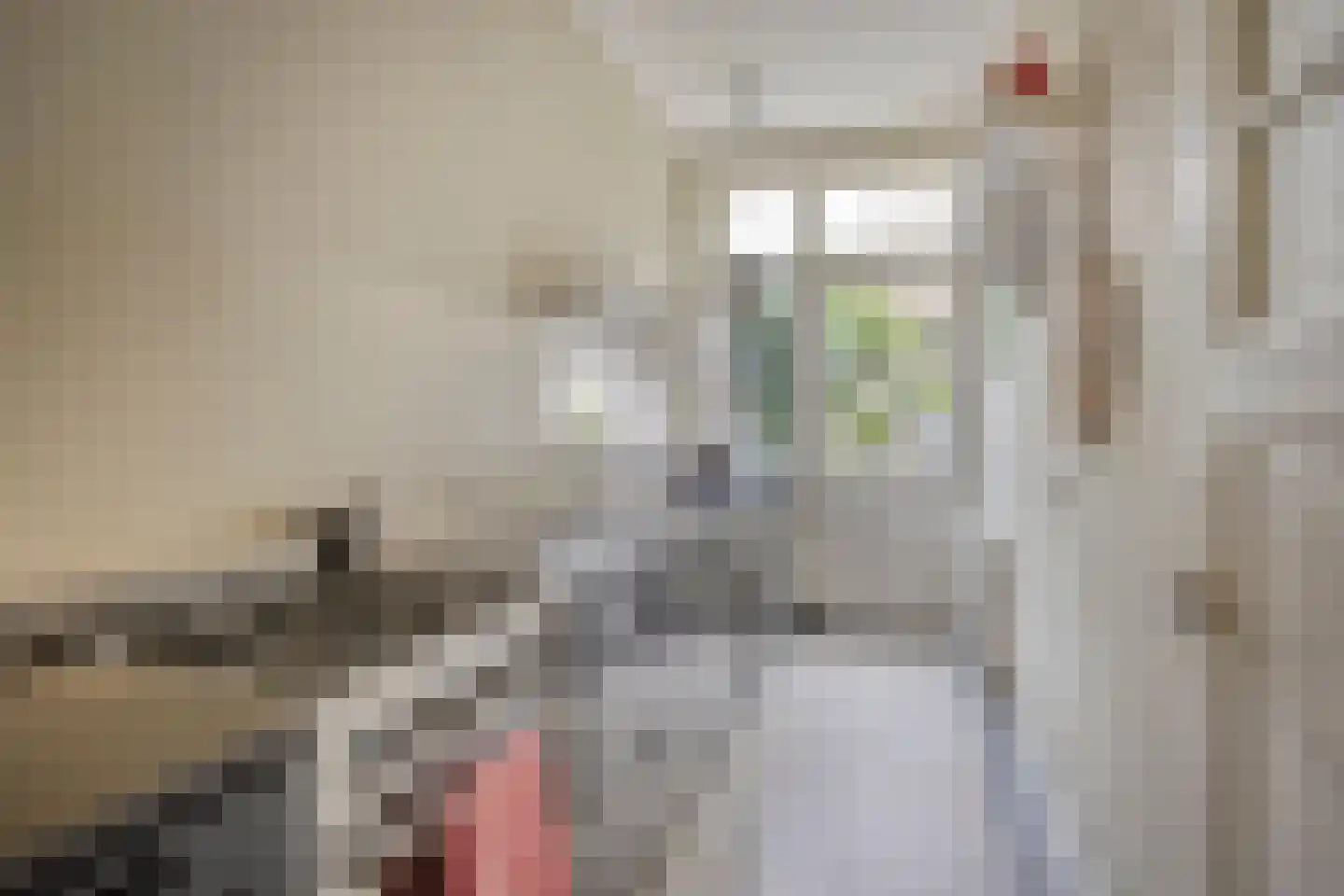 Johan de Wittstraat 16 Leiden thumbnail 14