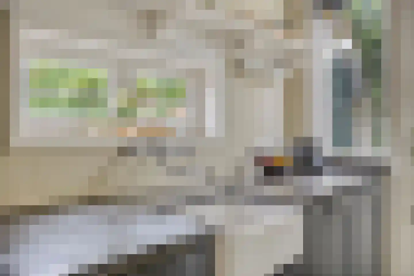 Johan de Wittstraat 16 Leiden thumbnail 15