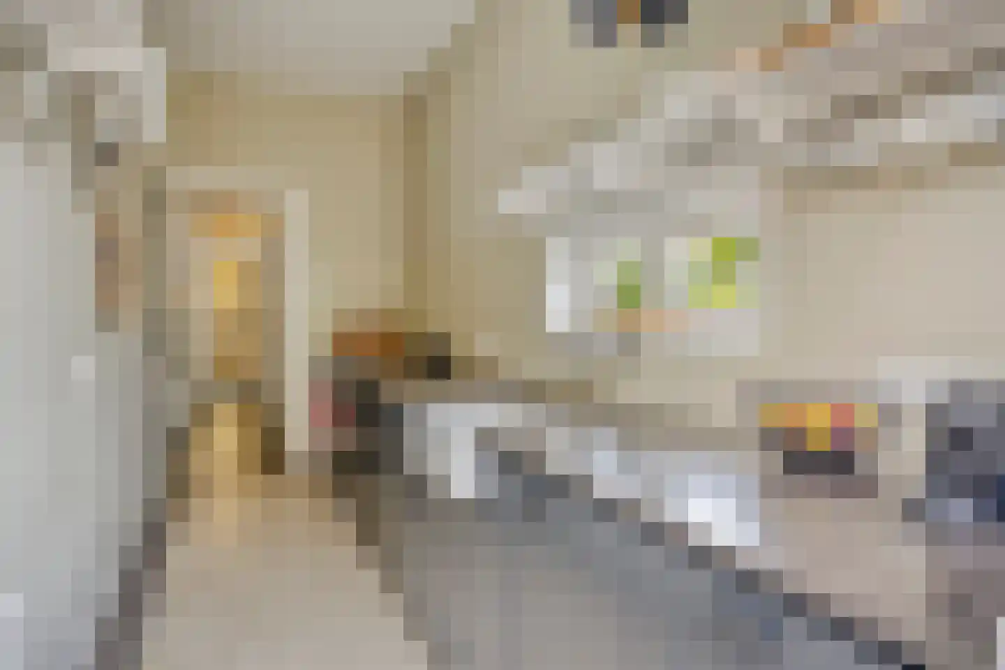 Johan de Wittstraat 16 Leiden thumbnail 17