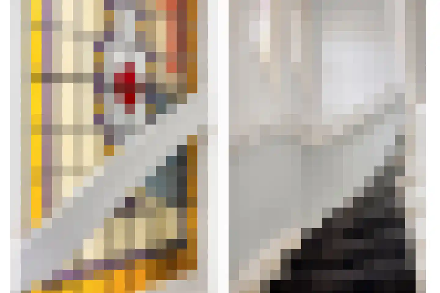Johan de Wittstraat 16 Leiden thumbnail 20