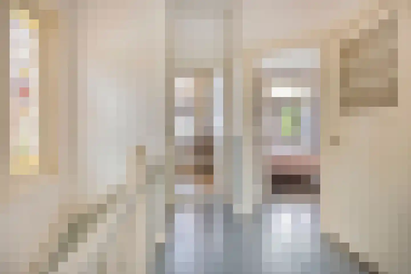 Johan de Wittstraat 16 Leiden thumbnail 21