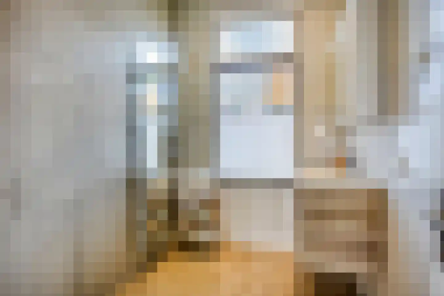 Johan de Wittstraat 16 Leiden thumbnail 28