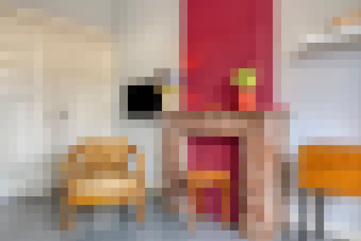 Johan de Wittstraat 16 Leiden thumbnail 35