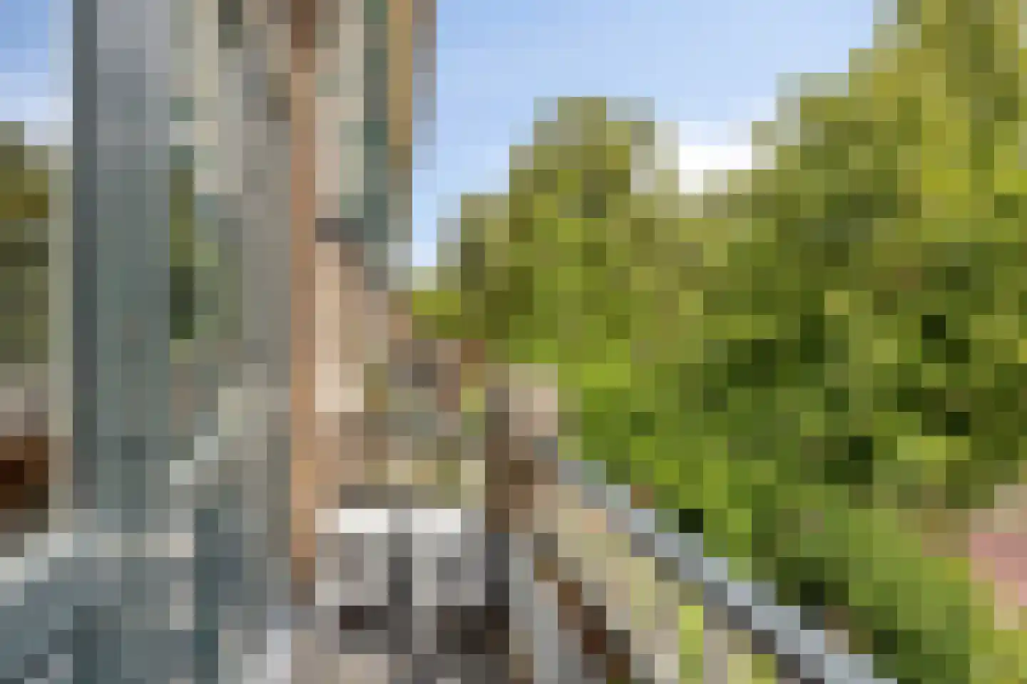 Johan de Wittstraat 16 Leiden thumbnail 37