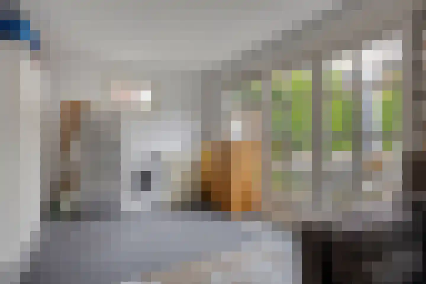 Johan de Wittstraat 16 Leiden thumbnail 55