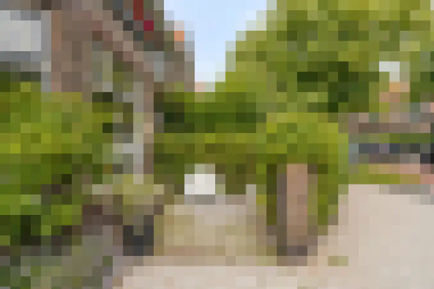 Johan de Wittstraat 16 Leiden thumbnail 57