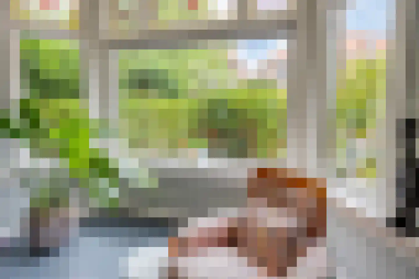 Johan de Wittstraat 16 Leiden thumbnail 6
