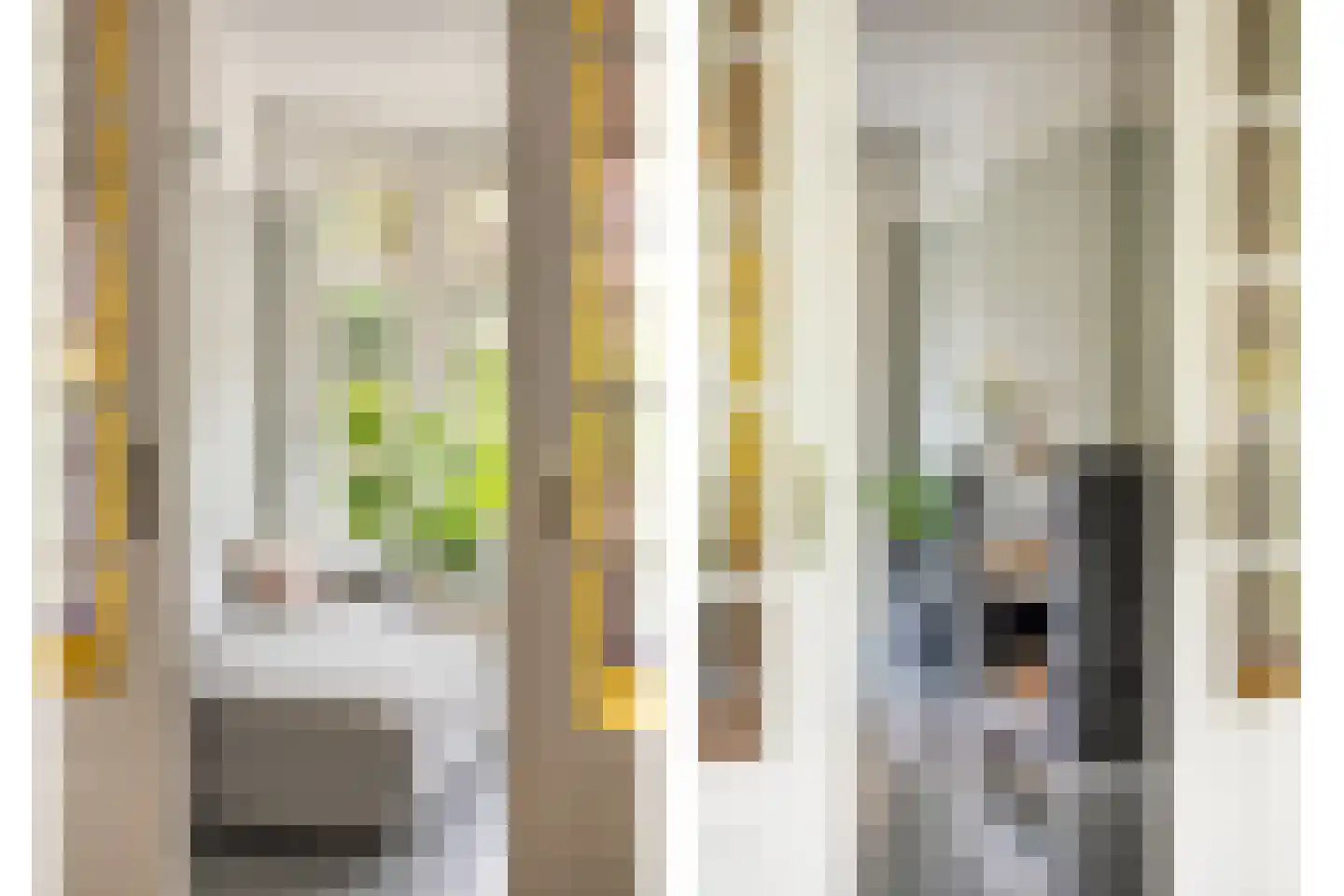 Johan de Wittstraat 16 Leiden thumbnail 7