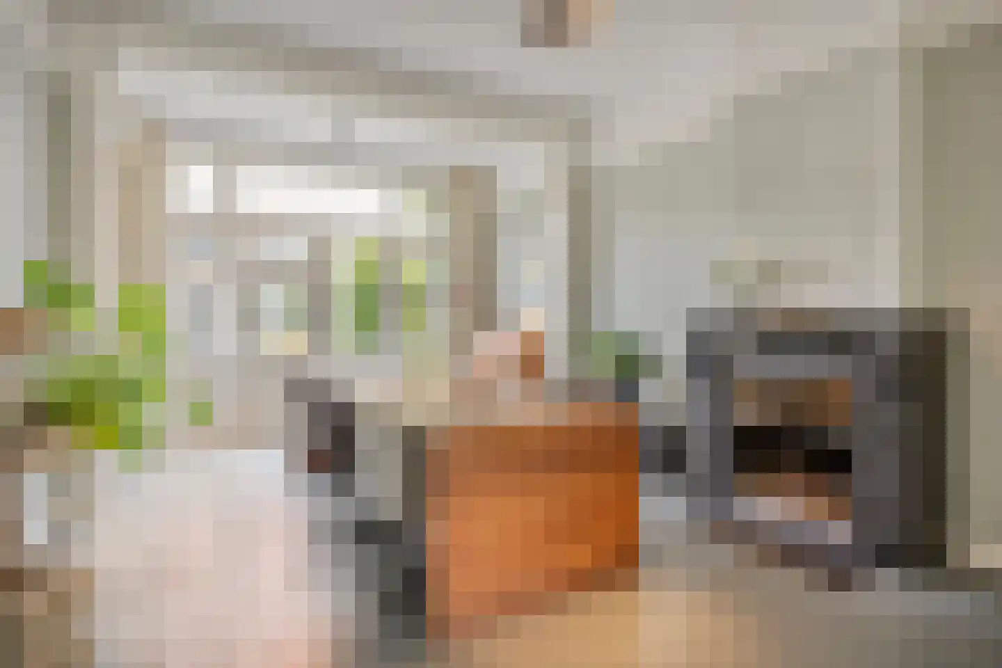 Johan de Wittstraat 16 Leiden thumbnail 8