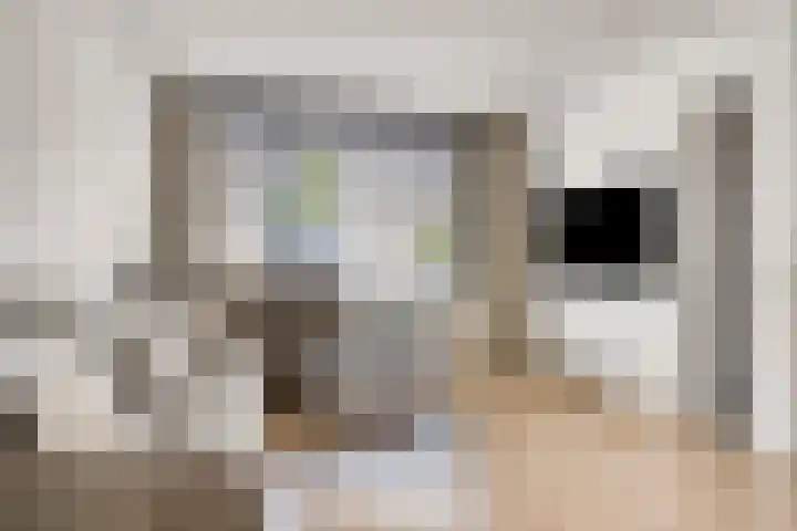 Johan de Wittstraat 16 Veghel thumbnail 10