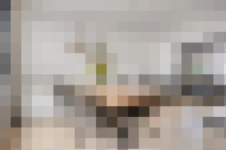 Johan de Wittstraat 16 Veghel thumbnail 12