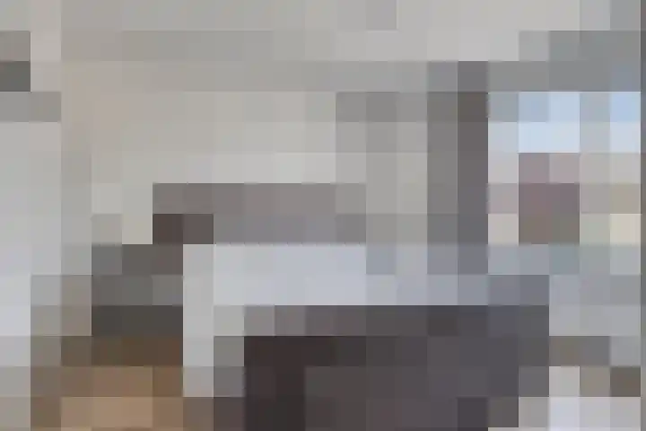 Johan de Wittstraat 16 Veghel thumbnail 17