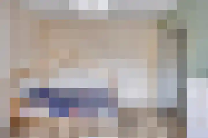 Johan de Wittstraat 16 Veghel thumbnail 21