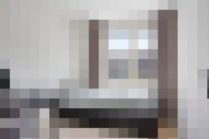 Johan de Wittstraat 16 Veghel thumbnail 22
