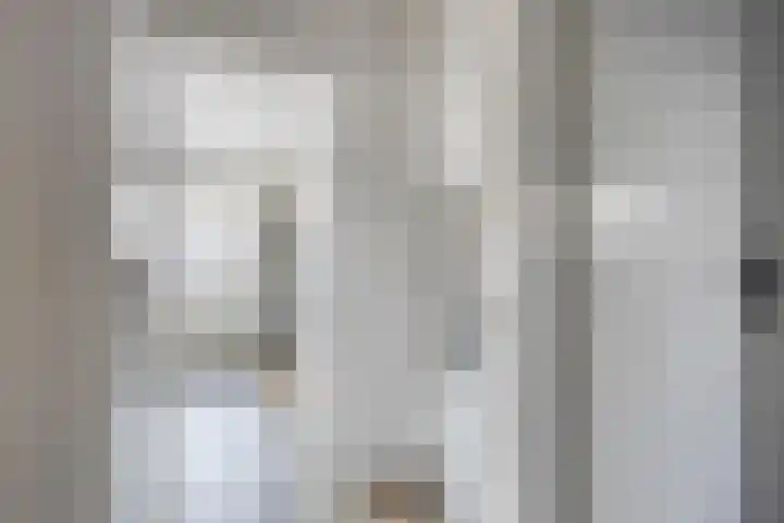 Johan de Wittstraat 16 Veghel thumbnail 23