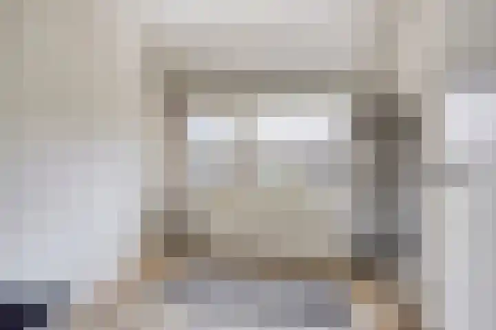Johan de Wittstraat 16 Veghel thumbnail 24
