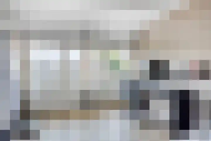 Johan de Wittstraat 16 Veghel thumbnail 25