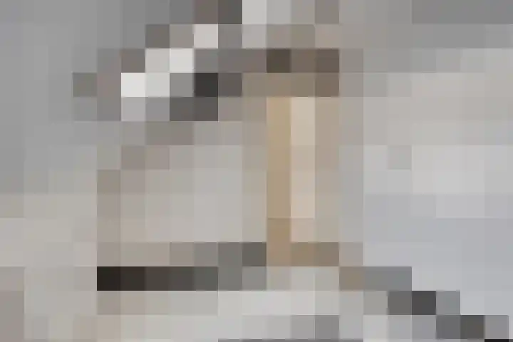 Johan de Wittstraat 16 Veghel thumbnail 28