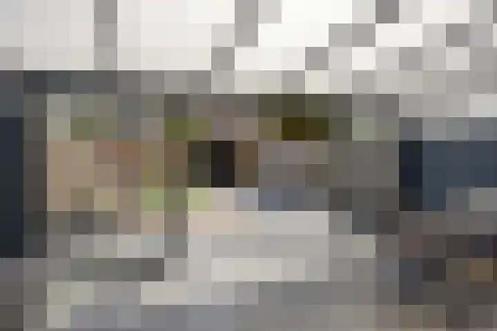 Johan de Wittstraat 16 Veghel thumbnail 29