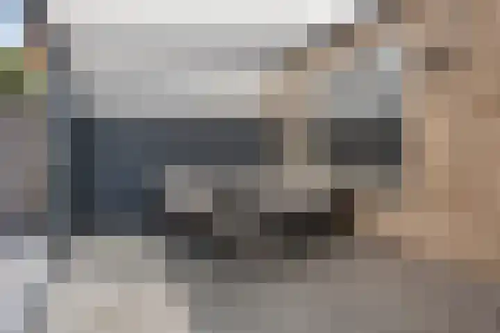 Johan de Wittstraat 16 Veghel thumbnail 30