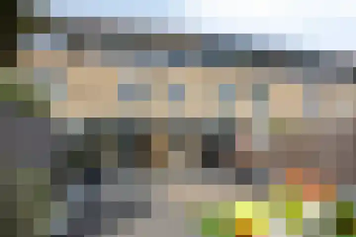 Johan de Wittstraat 16 Veghel thumbnail 32