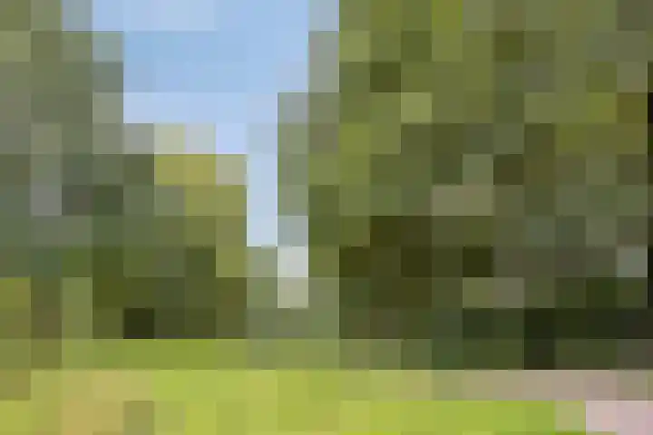 Johan de Wittstraat 16 Veghel thumbnail 34