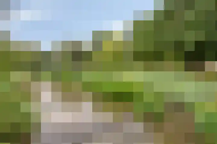 Johan de Wittstraat 16 Veghel thumbnail 35