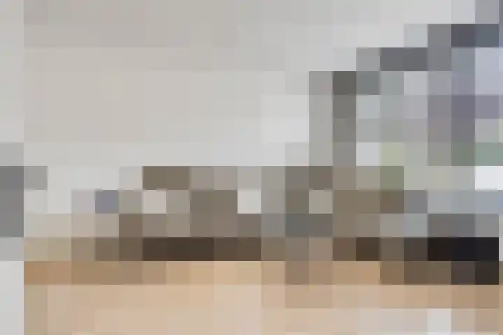 Johan de Wittstraat 16 Veghel thumbnail 7