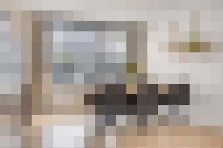 Johan de Wittstraat 16 Veghel thumbnail 9