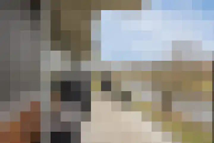 Johan de Wittstraat 161 Vlaardingen thumbnail 17