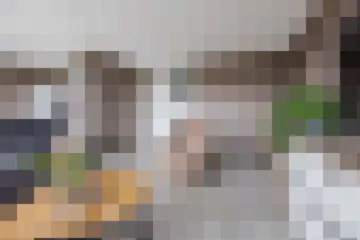 Johan de Wittstraat 161 Vlaardingen thumbnail 8