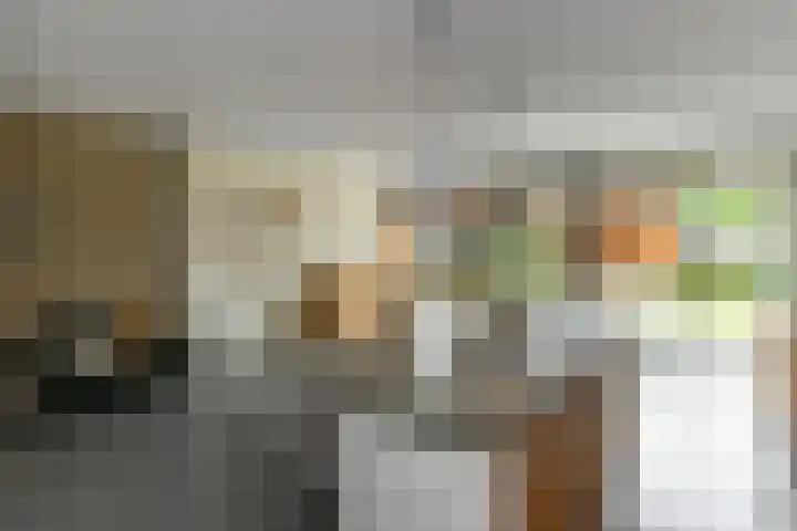 Johan de Wittstraat 17 Elst thumbnail 10