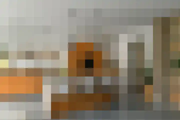 Johan de Wittstraat 17 Elst thumbnail 11