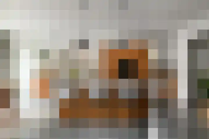Johan de Wittstraat 17 Elst thumbnail 12